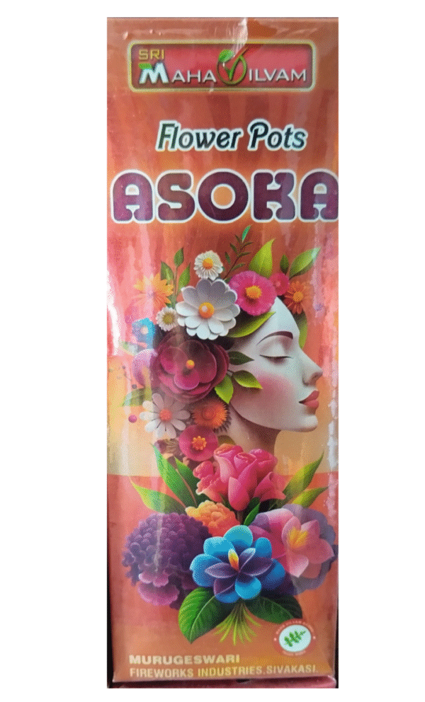 Flower Pots Asoka